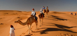 day-trip-to-wahiba-sands-wadi-bani-khalid-tour